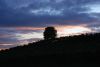 DSC_3468.jpg