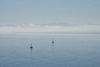 DSC_3492.jpg