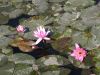 DSCN7893.jpg