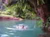 DSCN9275.jpg