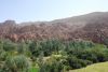 DSC_2727.jpg