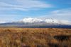 DSC_0382.jpg