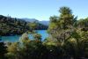 DSC_0572.jpg