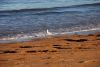 DSC_0597.jpg