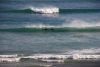 DSC_1187.jpg
