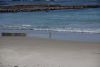 DSC_1196.jpg