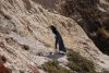 DSC_1293.jpg