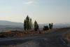 DSC_9284.jpg