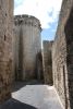 DSC_1652.jpg